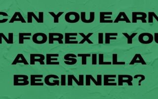 Can You Earn In Forex If You Are Still A Beginner?-justlittlethings.co.uk