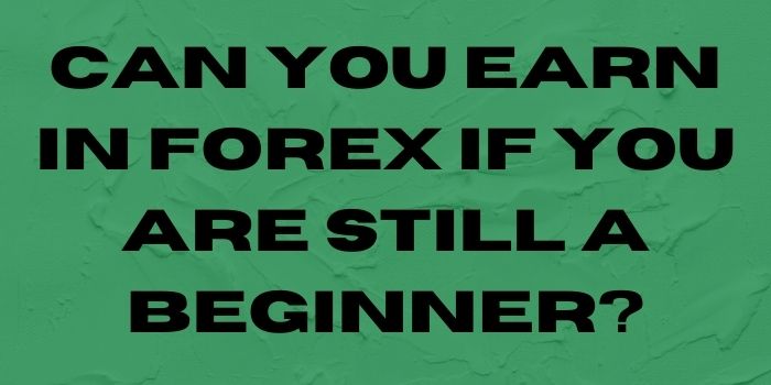 Can You Earn In Forex If You Are Still A Beginner?-justlittlethings.co.uk