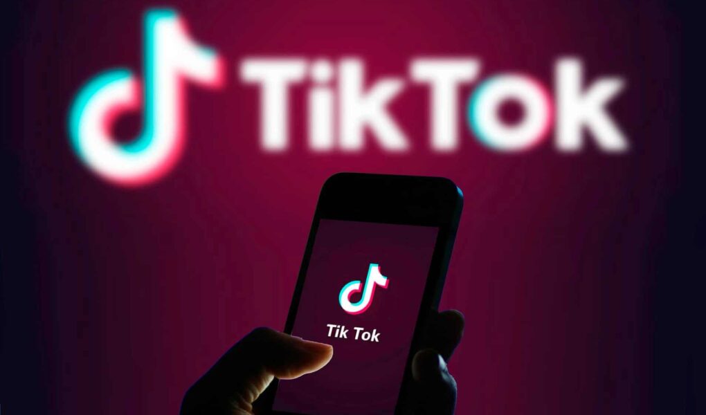 6 Innovative TikTok Marketing Ideas For Startups To Attain Success-www.justlittlethings.co.uk