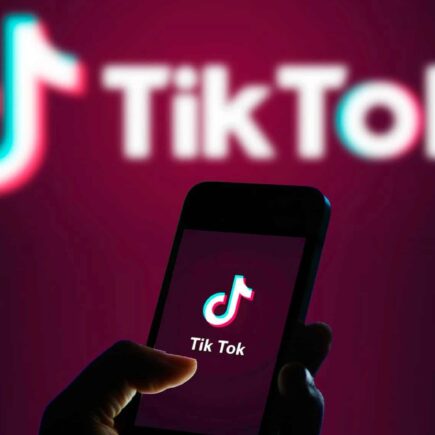 6 Innovative TikTok Marketing Ideas For Startups To Attain Success-www.justlittlethings.co.uk
